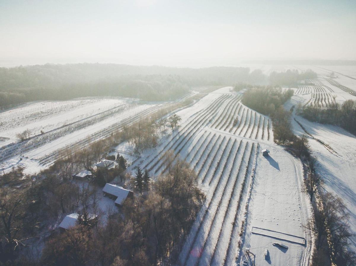 Chata Nad Wawozem Nałęczów Buitenkant foto